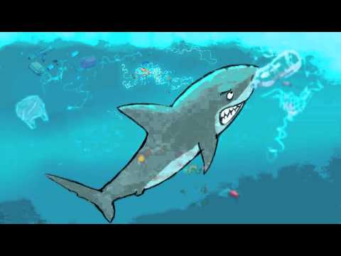 shark against plastic