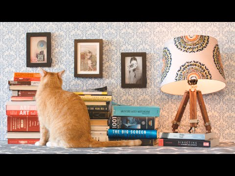 Meet the Artist | 2015 | Yulin Kuang | Kitten Rescue, Mary Kate Wiles