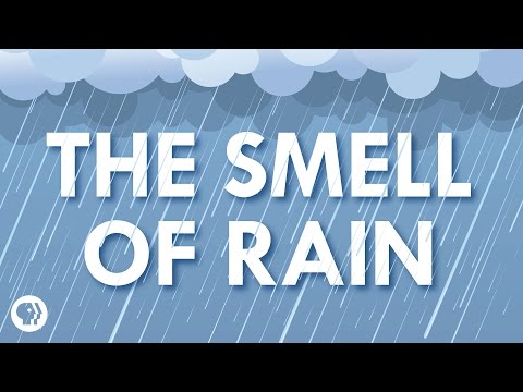 Where Does the Smell of Rain Come From?